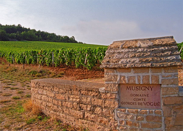 Domaine Comte Georges de Vogüé winery in Chambolle-Musigny, France