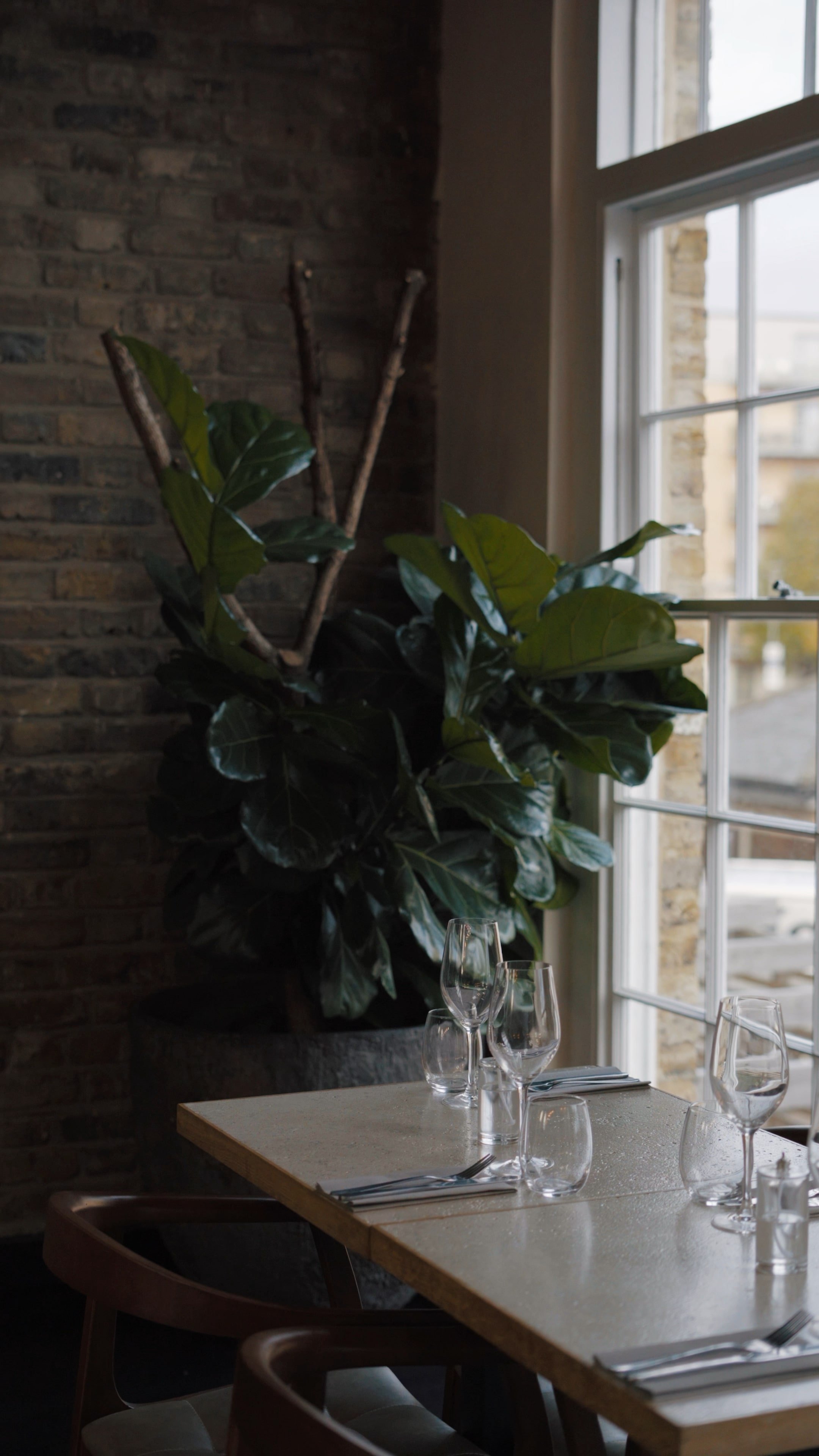 Cafe Cecilia restaurant in London