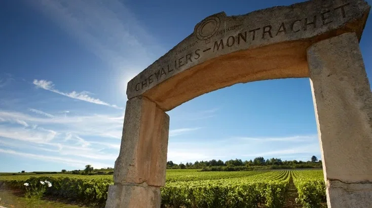 Domaine Leflaive winery in Chassagne-Montrachet, France