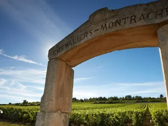 Domaine Leflaive, Chassagne-Montrachet, France