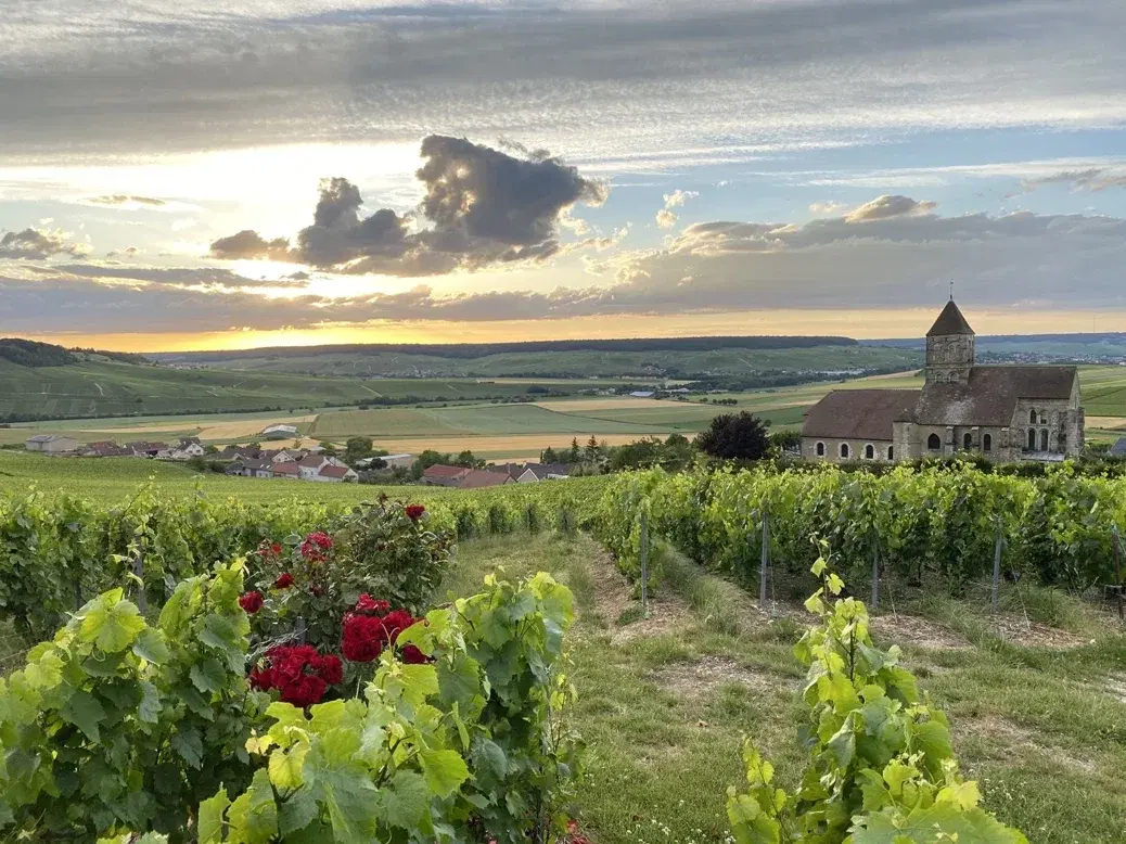 Pierre Gimonnet & Fils, Cuis, France