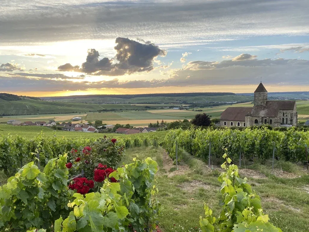 Pierre Gimonnet & Fils, Winery in Cuis