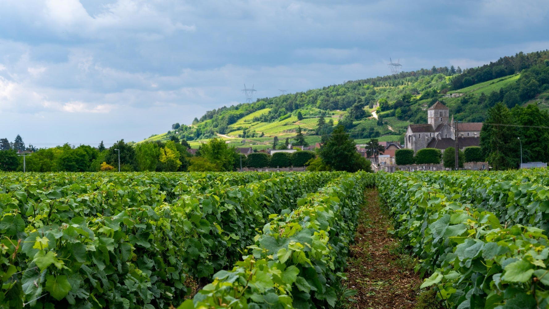 Domaine Comte de Vogue winery in Chambolle-Musigny
