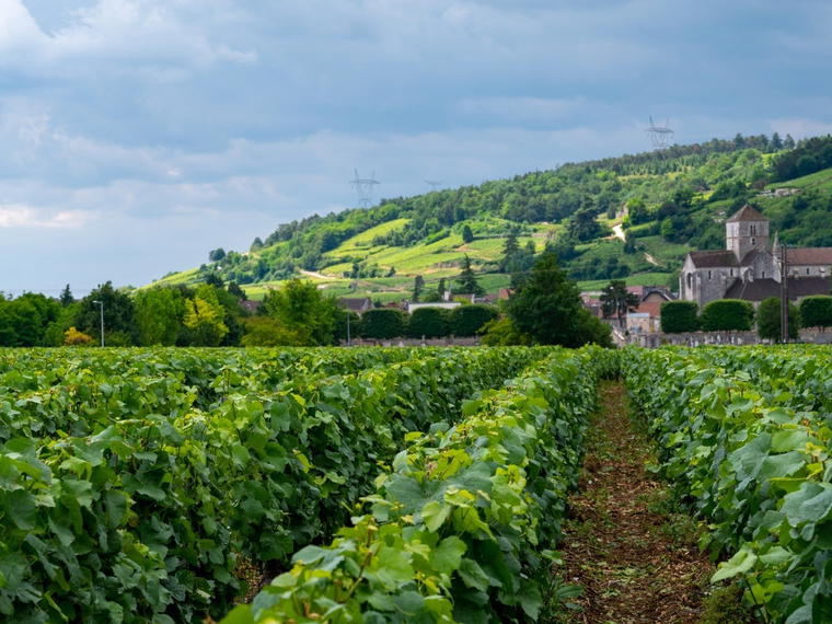 Domaine Comte de Vogue, Chambolle-Musigny, France