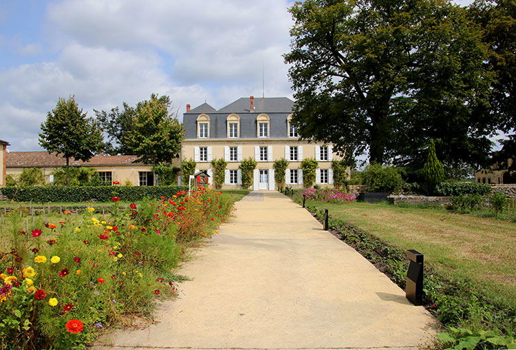 Château Guiraud, Winery in Sauternes