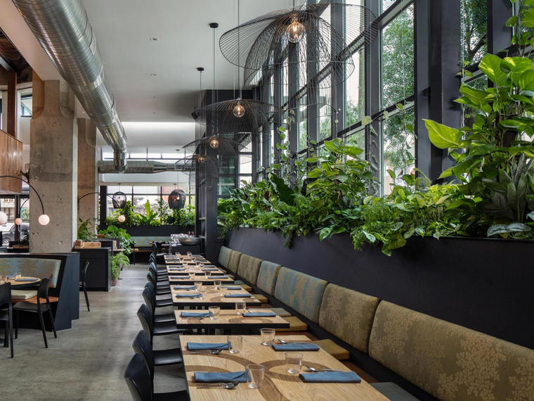 Nari, San Francisco, United States