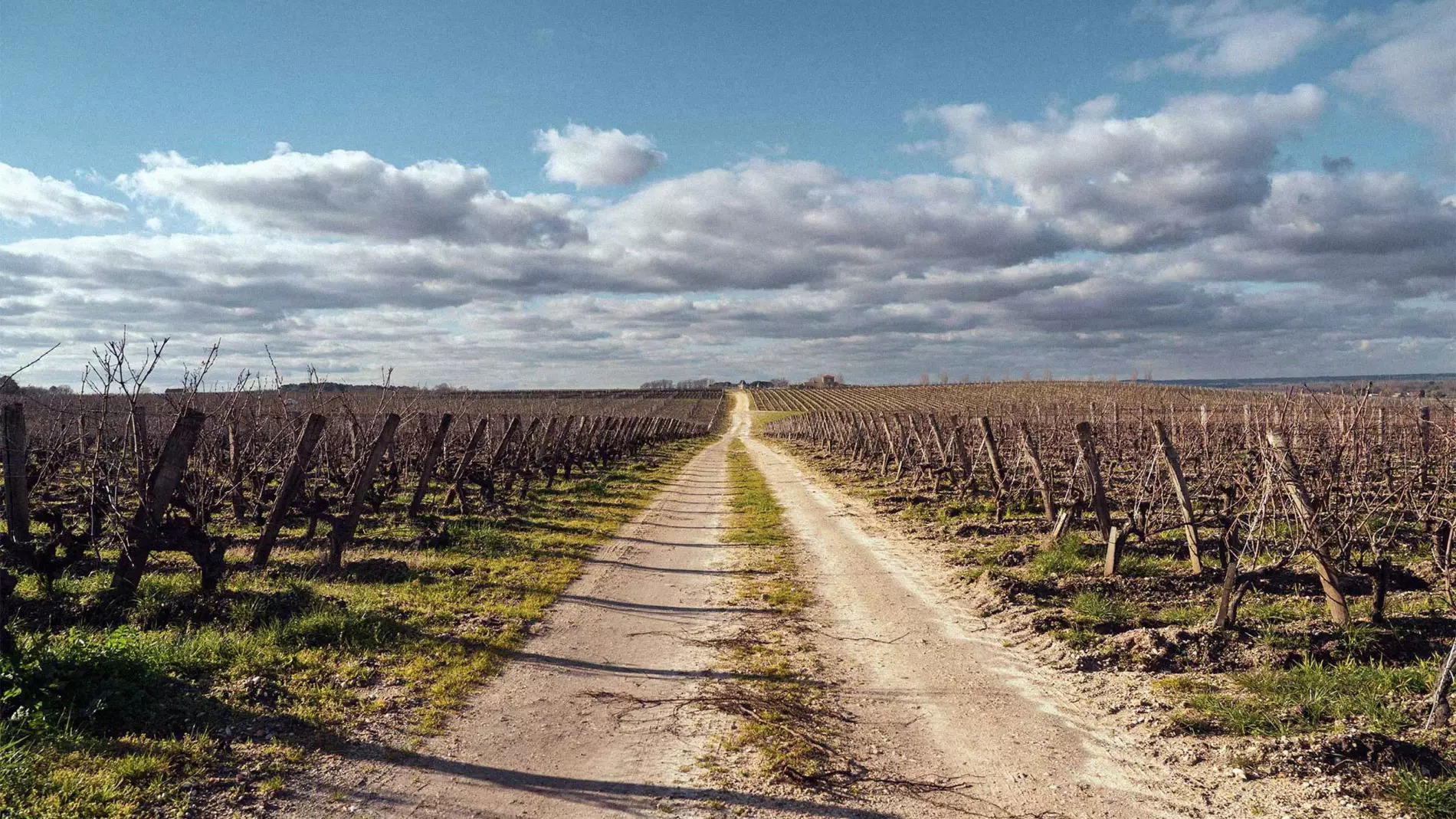 Château Rieussec winery in Fargues