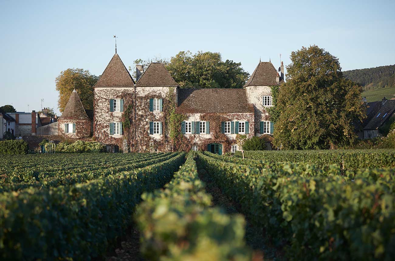 Château de l'Aumérade, Winery in Barsac