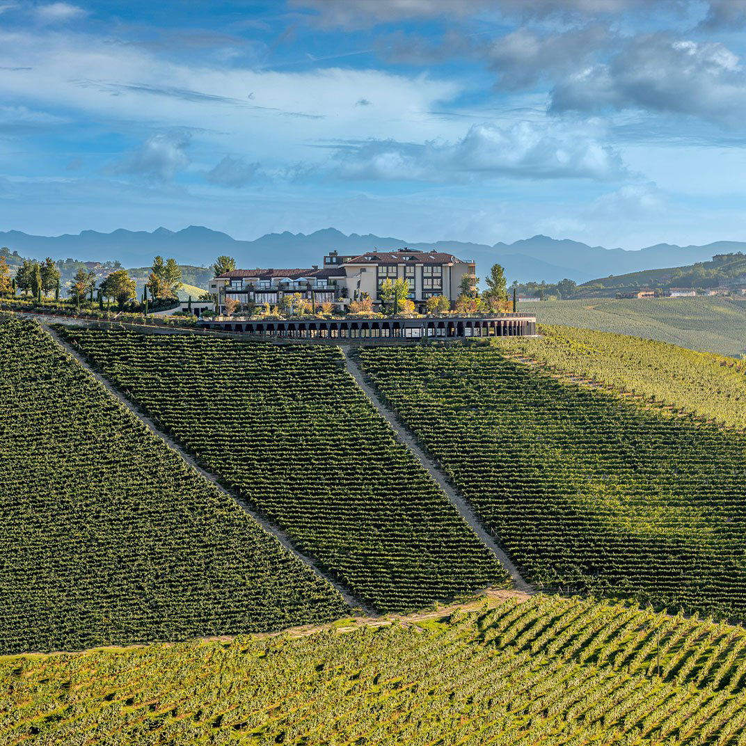 Ape Vino e Cucina restaurant in Alba, Italy