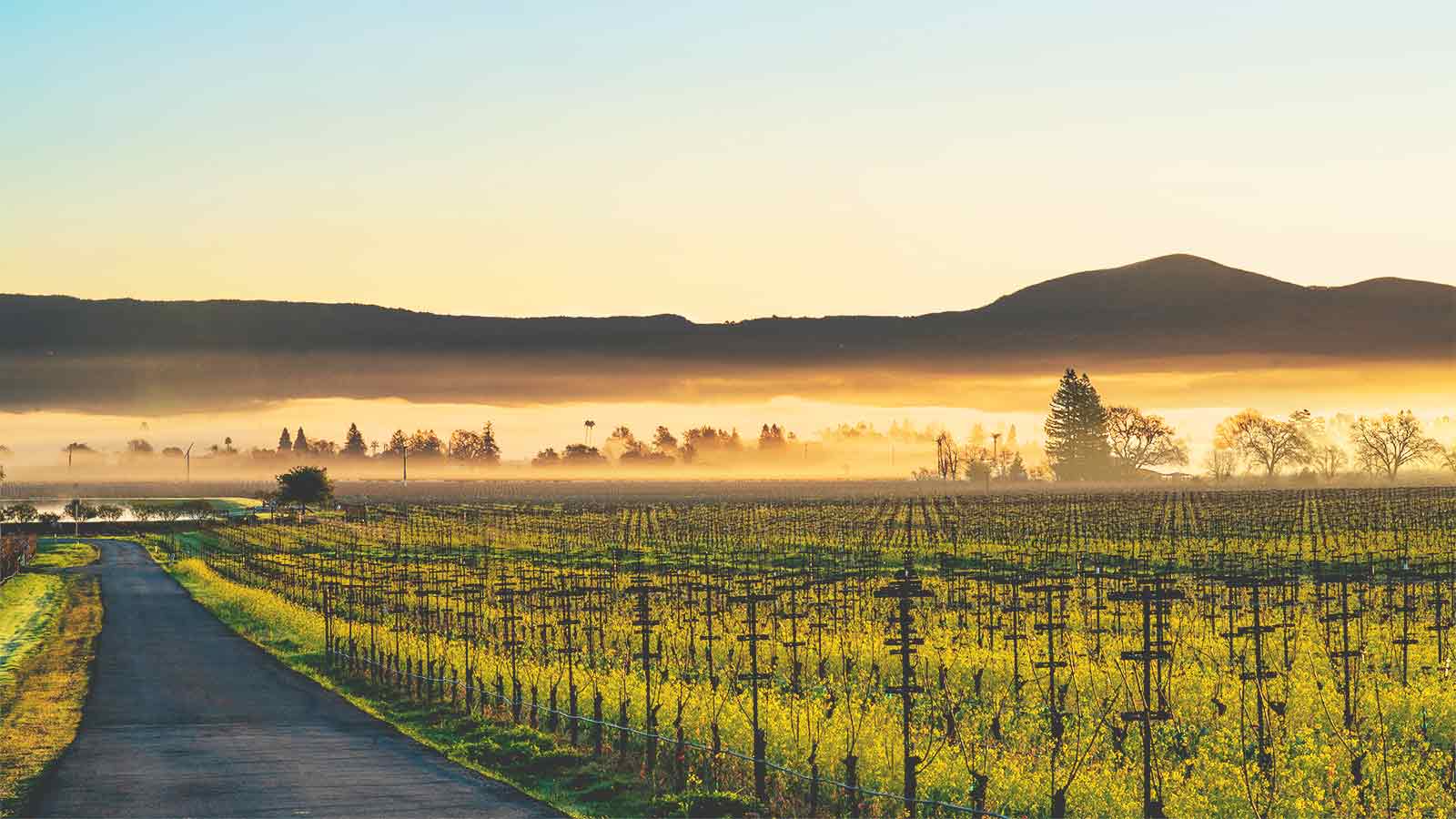 Kanpai Wines winery in Napa