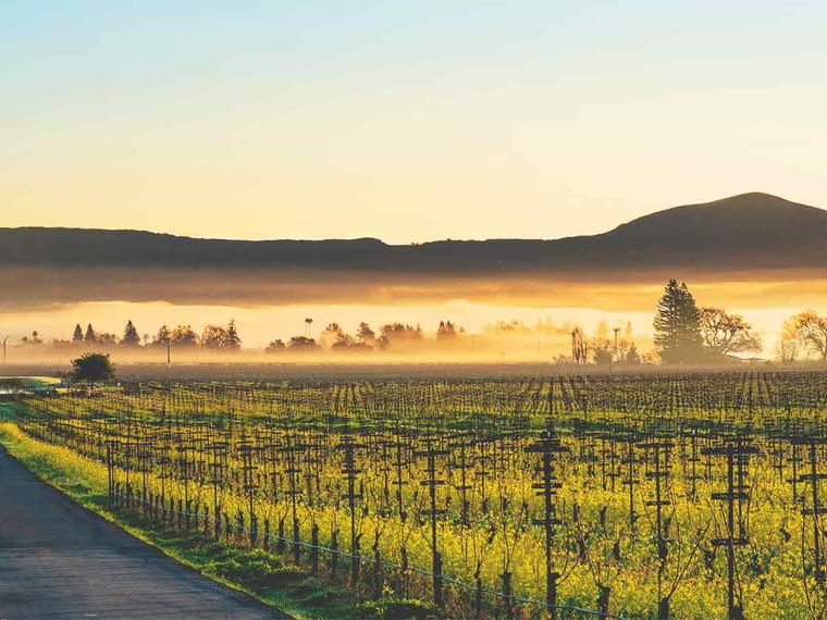 Kanpai Wines, Napa, United States