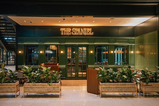 The Spaniel restaurant in Dubai, United Arab Emirates