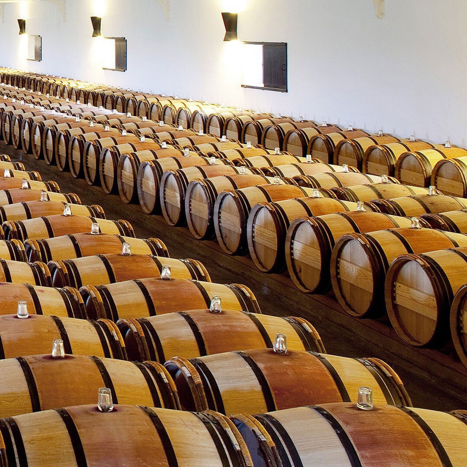 Chateau Mouton Rothschild, Pauillac, France