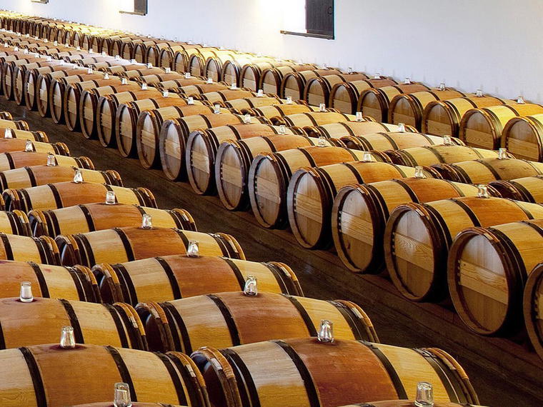 Chateau Mouton Rothschild, Pauillac, France