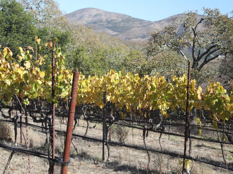 Kongsgaard, Napa, United States