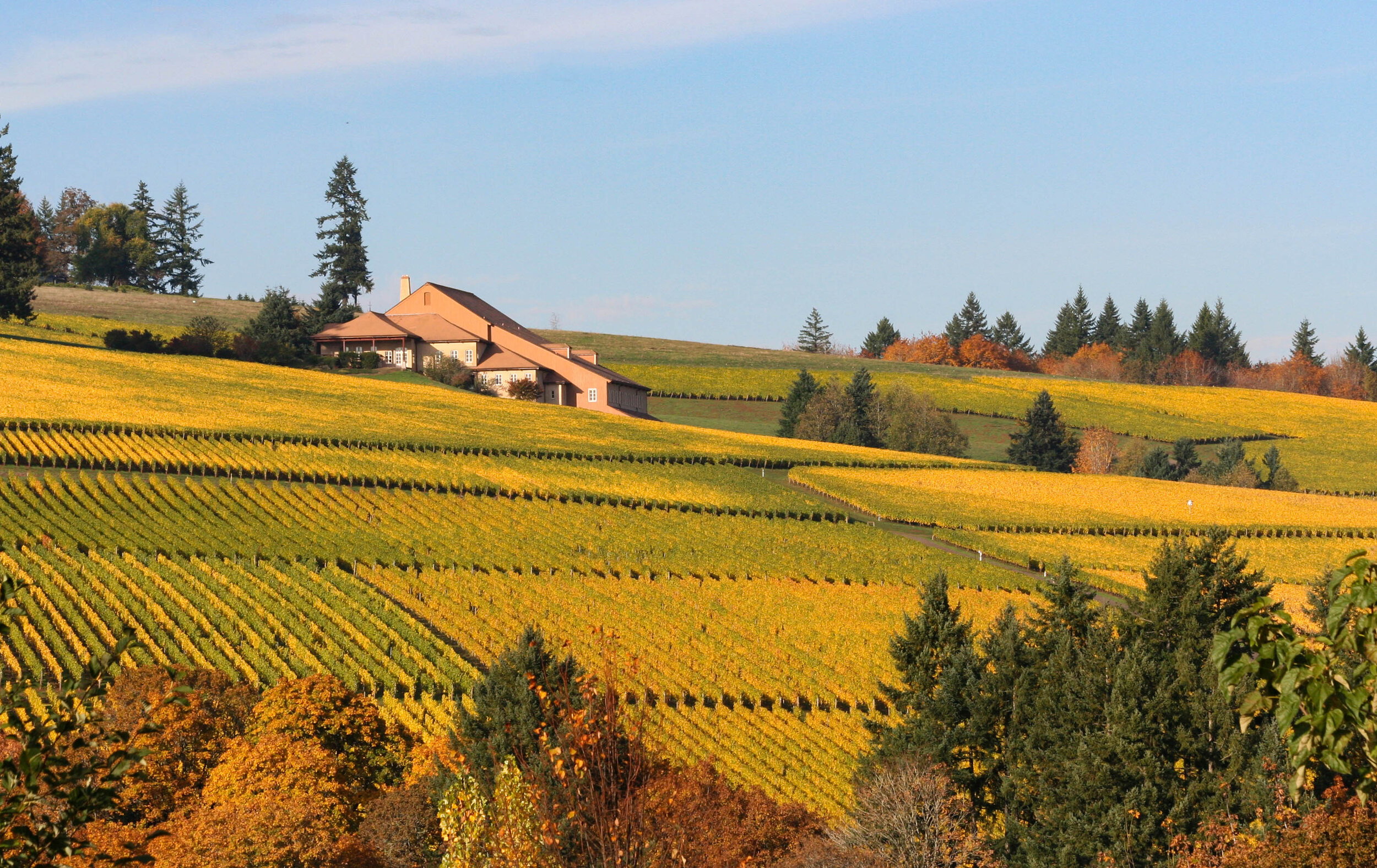 Domaine Drouhin winery in Dayton, United States