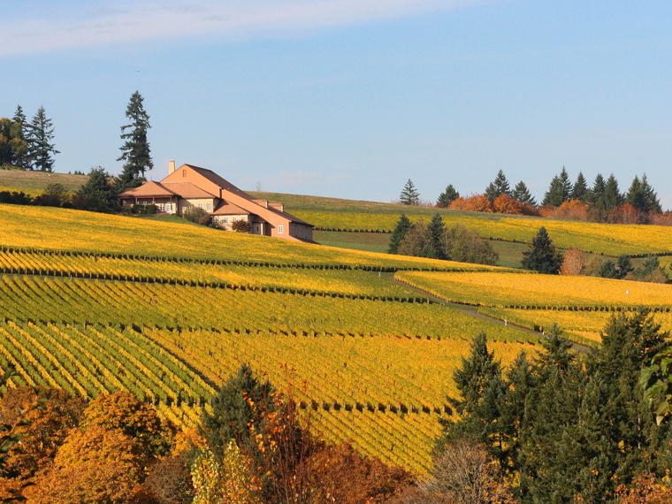 Domaine Drouhin, Dayton, United States