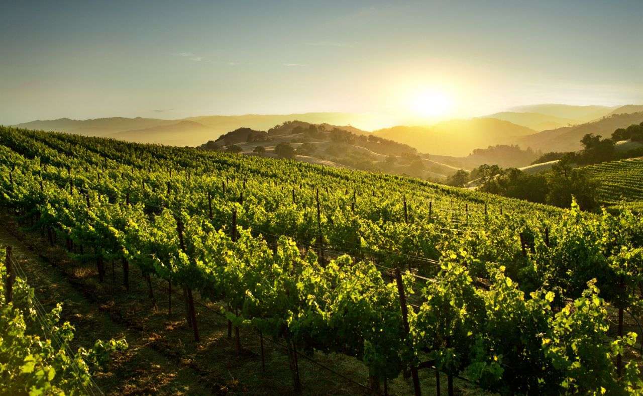 Verite winery in Healdsburg, United States