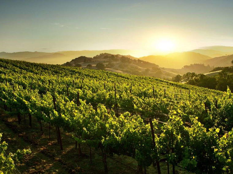 Verite, Healdsburg, United States