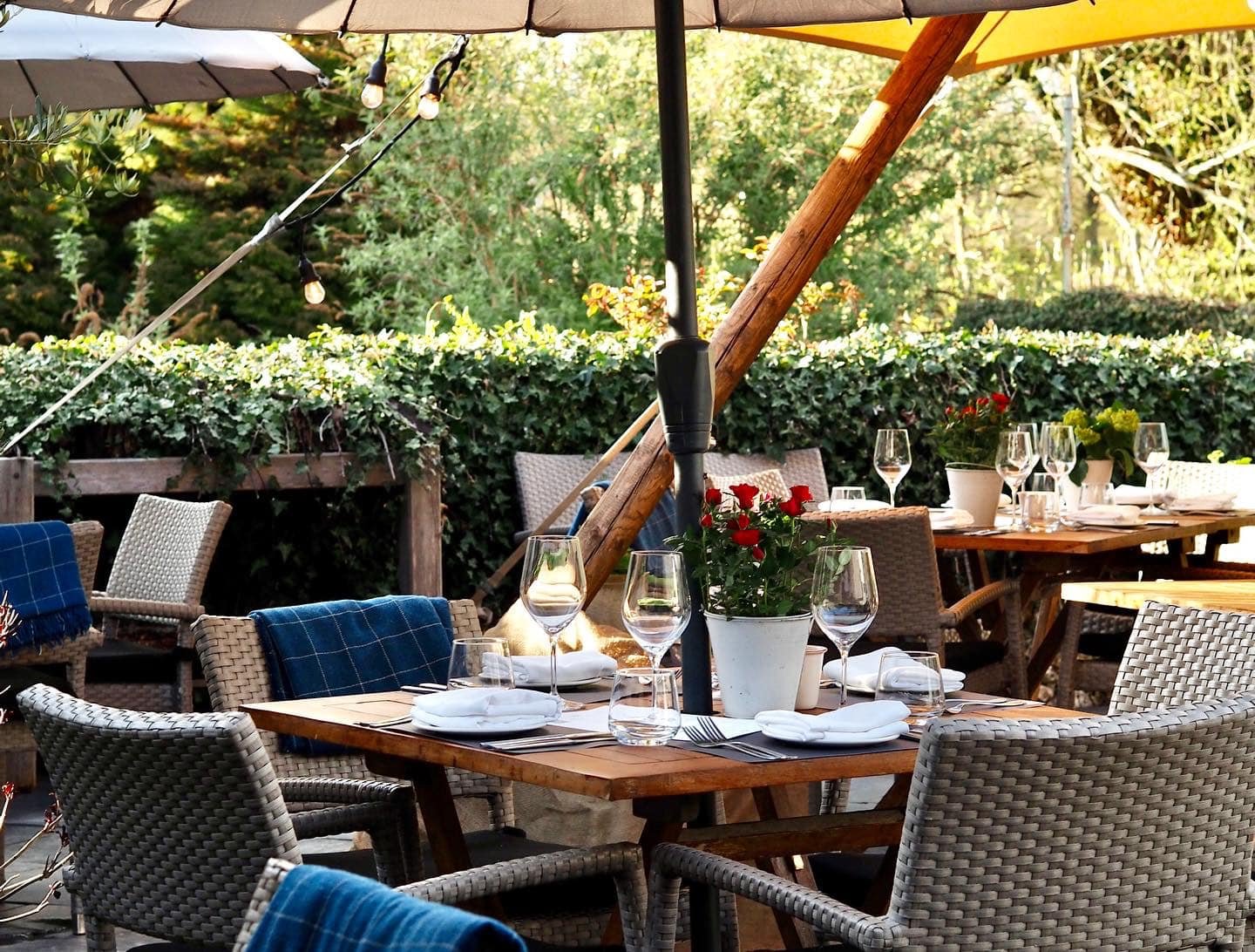 Greyhound on the Test, Restaurant in Edinburgh