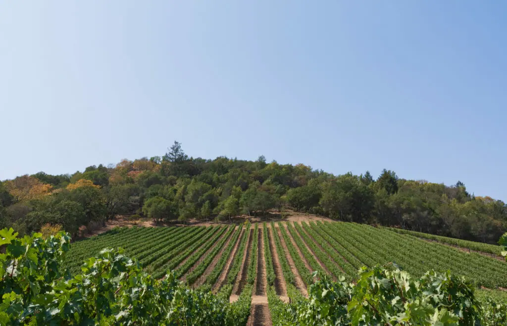 TOR Wines winery in Oakville, United States