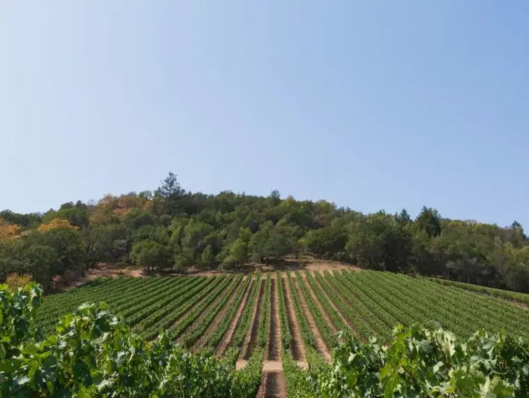 TOR Wines, Oakville, United States