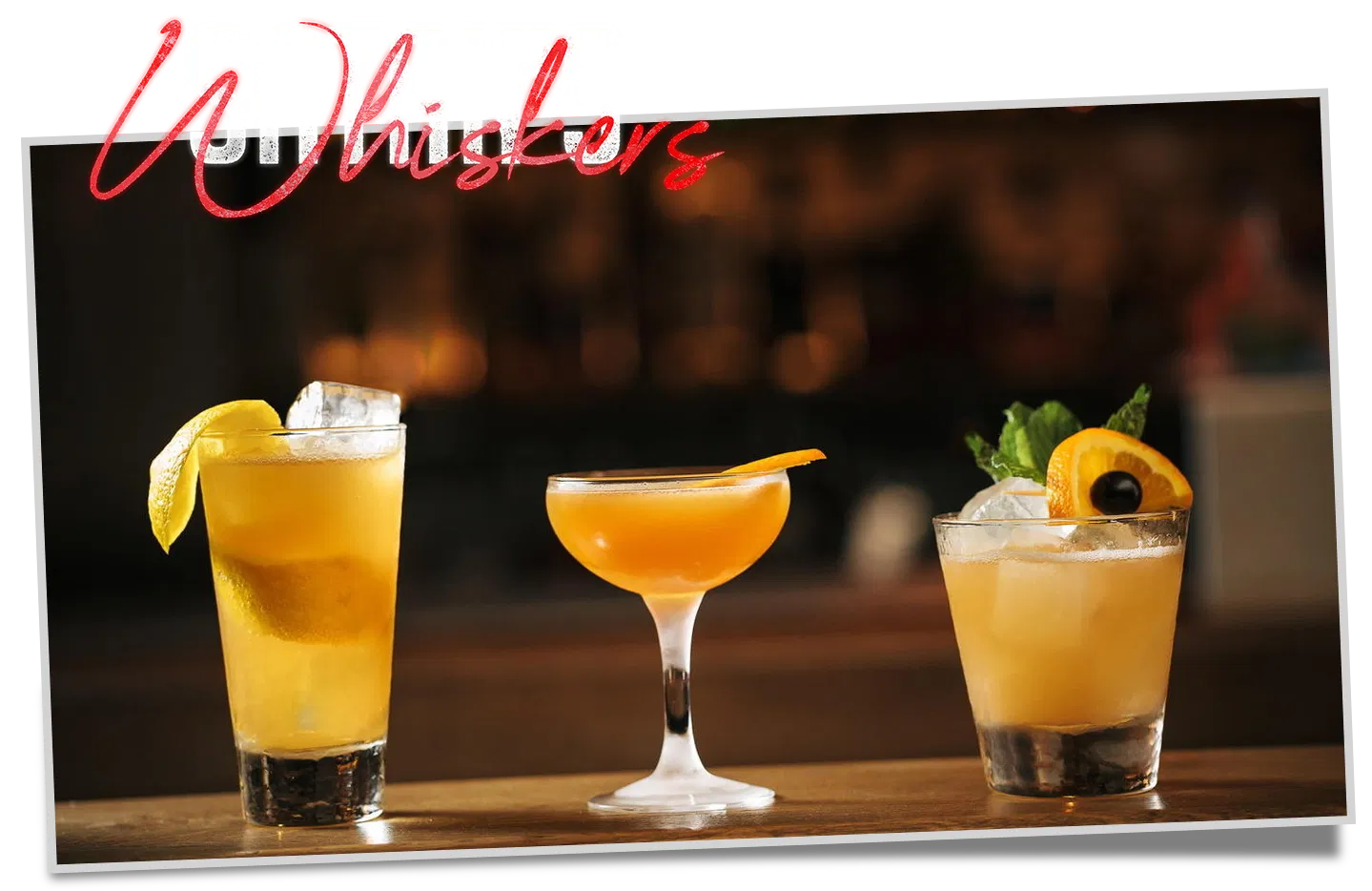 Satan's Whiskers, Bar in London