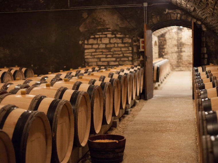 Domaine de la Romanée-Conti, Vosne-Romanée, France