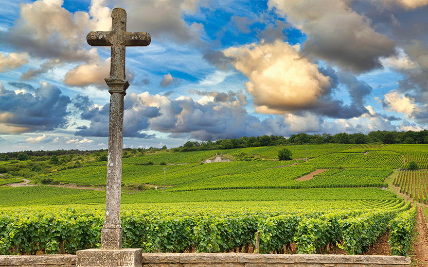 Domaine de la Romanée-Conti, Vosne-Romanée, France