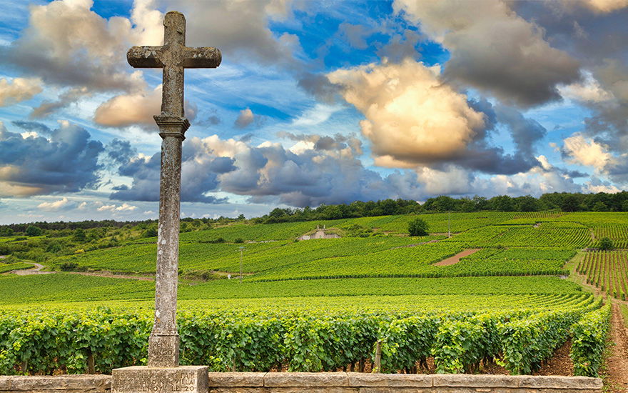 Domaine de la Romanée-Conti, Winery in Vosne-Romanée