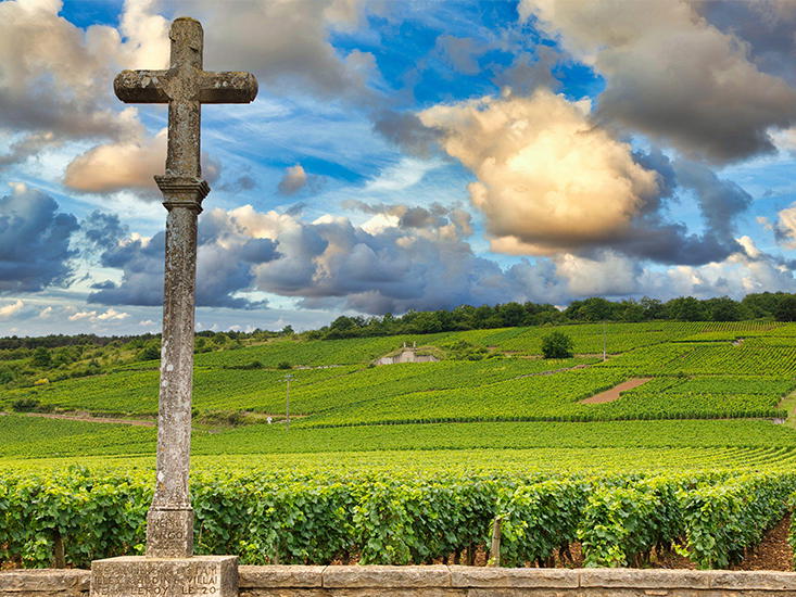 Domaine de la Romanée-Conti, Vosne-Romanée, France