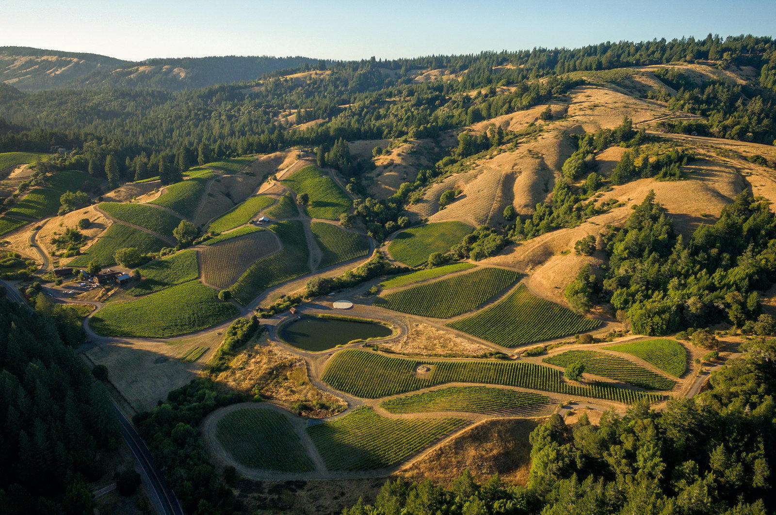 Rhys Vineyards winery in Los Gatos