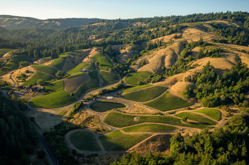 Rhys Vineyards