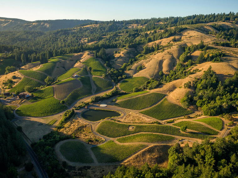 Rhys Vineyards, Los Gatos, United States
