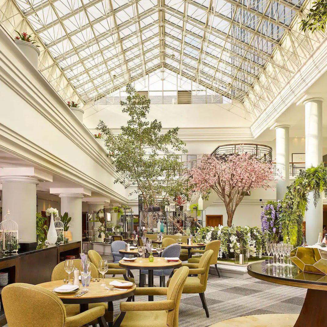 Riverine Rabbit, Birmingham, United Kingdom