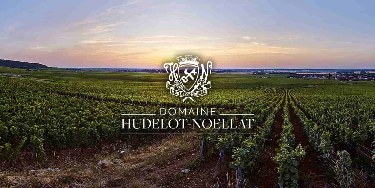 Domaine Hudelot-Noëllat, Winery in Chambolle-Musigny