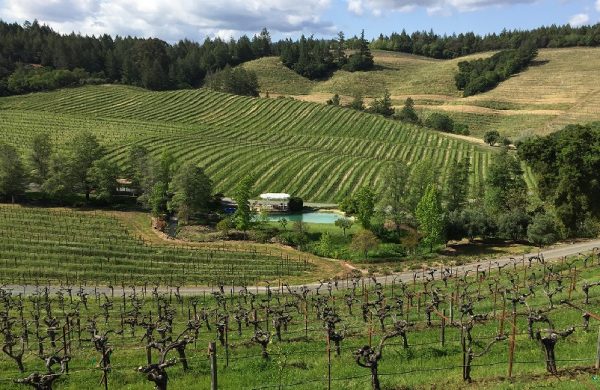 Diamond Creek Winery winery in Calistoga