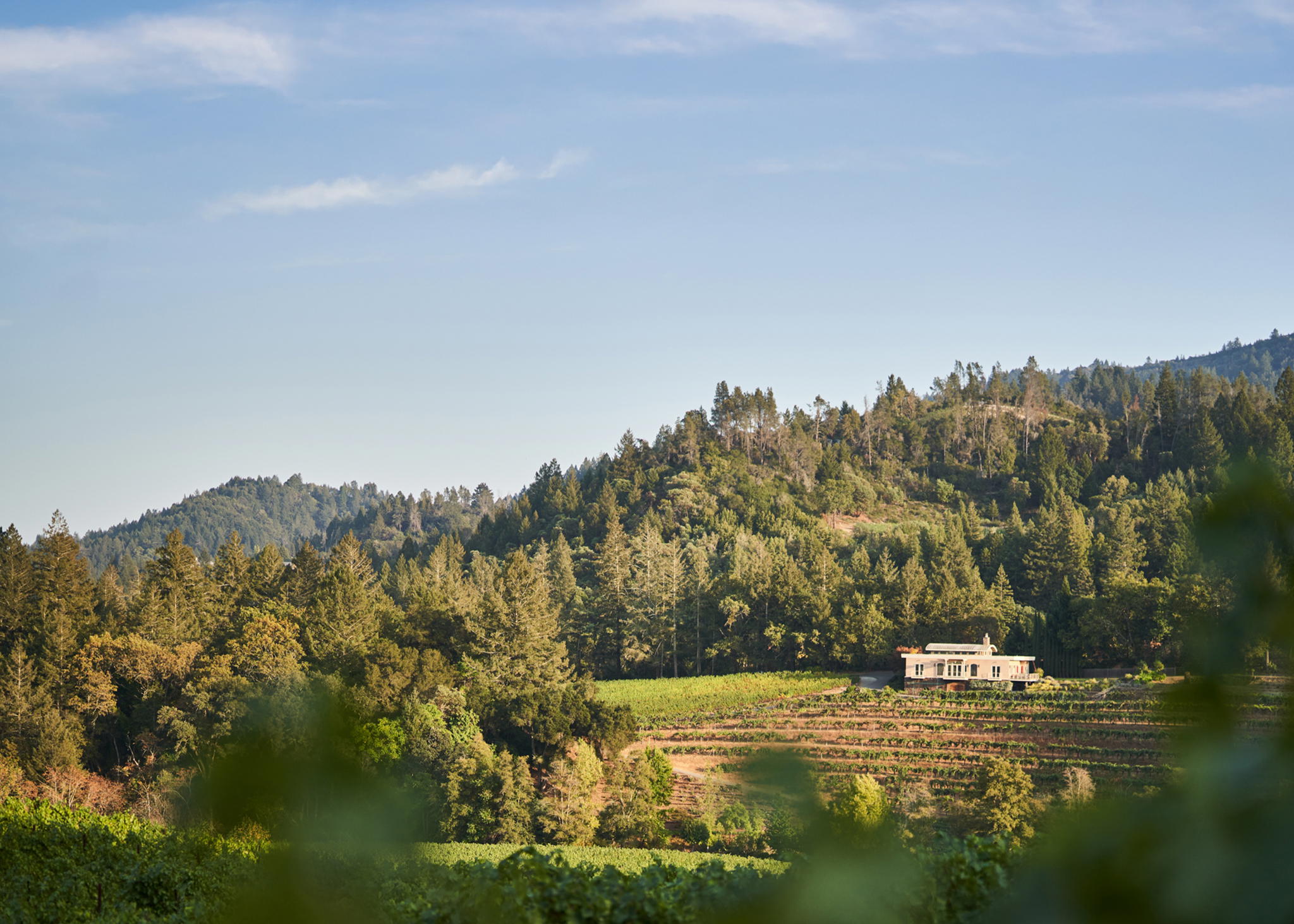 Diamond Creek Vineyards, Calistoga, United States
