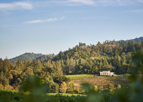 Diamond Creek Vineyards