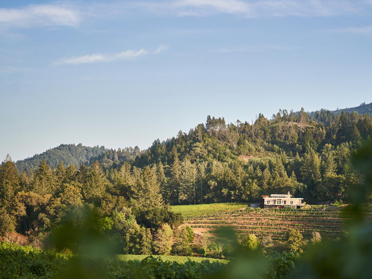 Diamond Creek Vineyards, Calistoga, United States