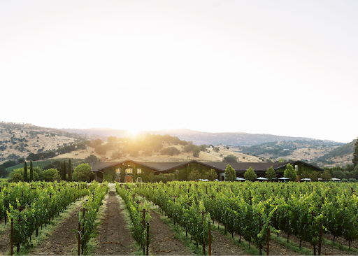 Clos du Val winery in Stags Leap District (Napa), United States