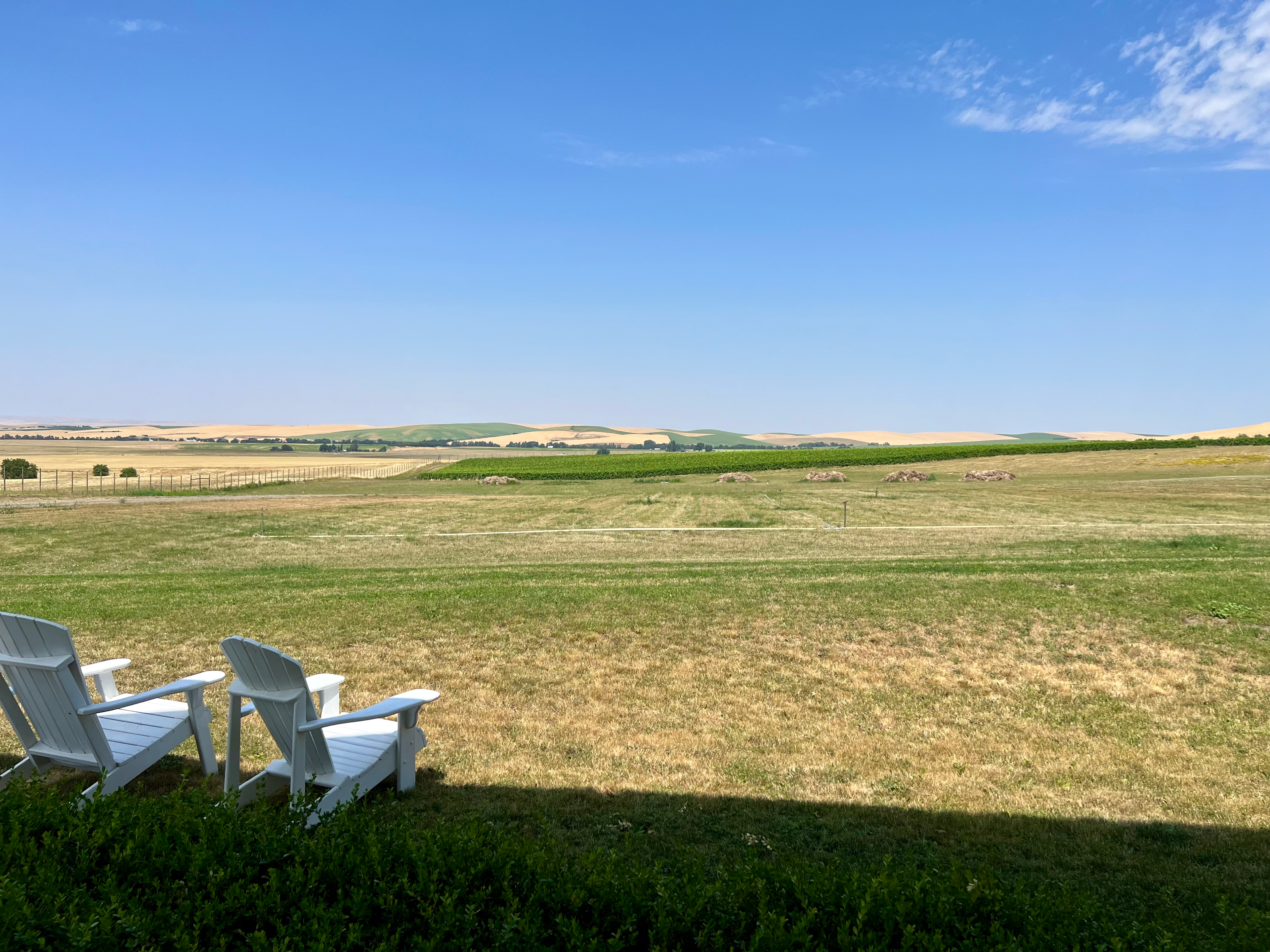 Reynvaan Family Vineyards winery in Walla Walla, United States