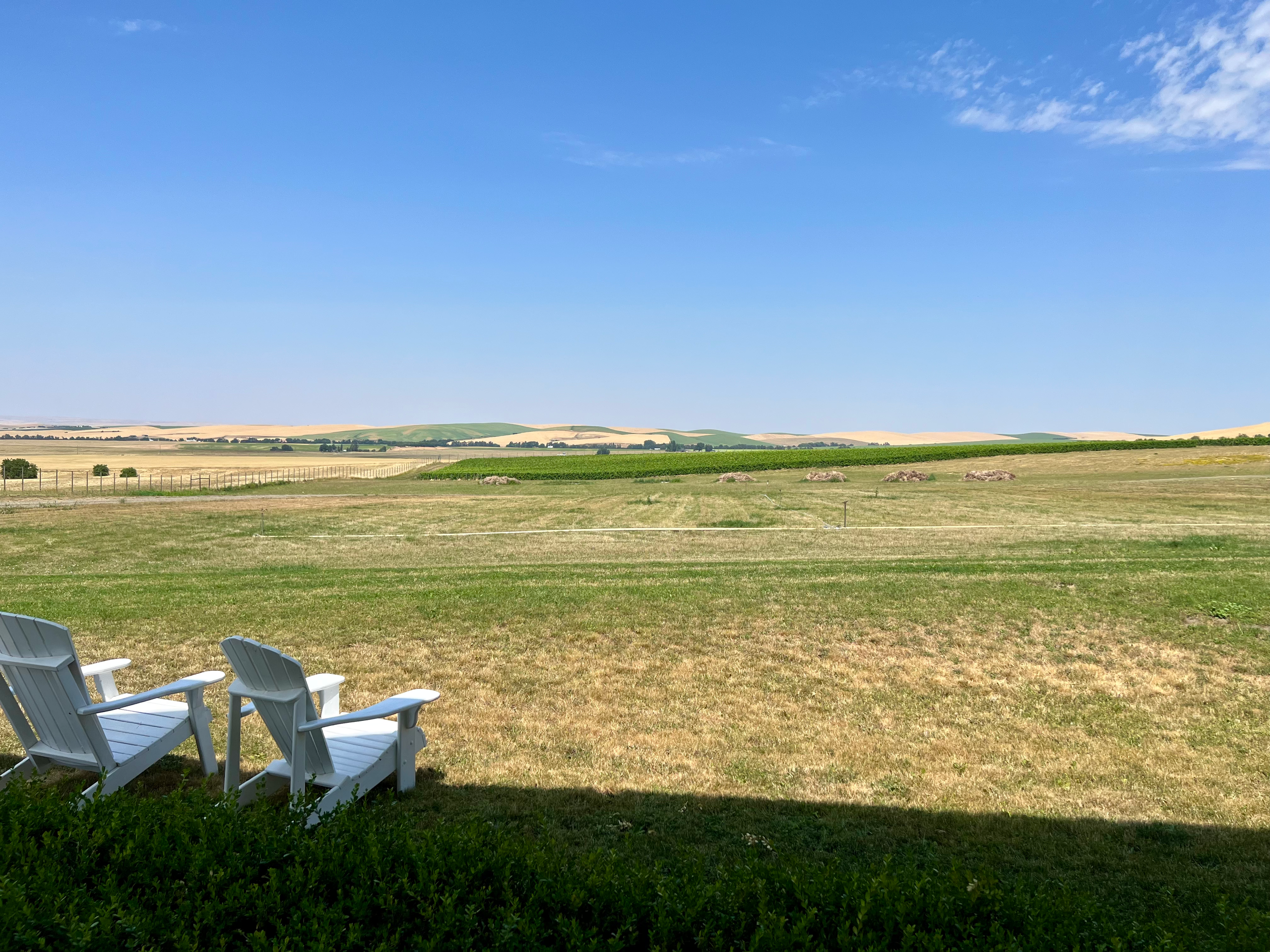 Reynvaan Family Vineyards