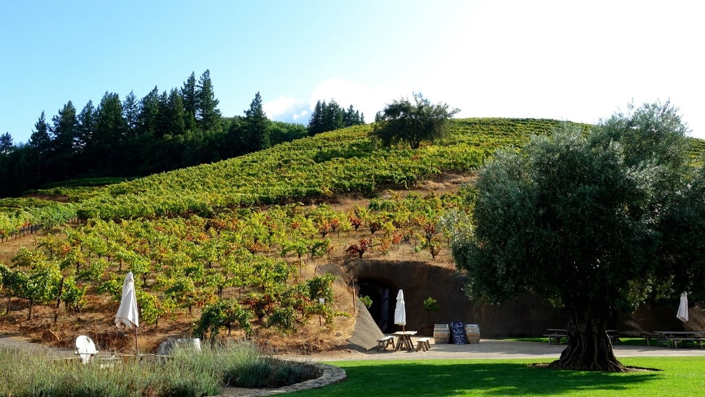 Bella Vineyards and Wine Cave winery in Healdsburg, United States
