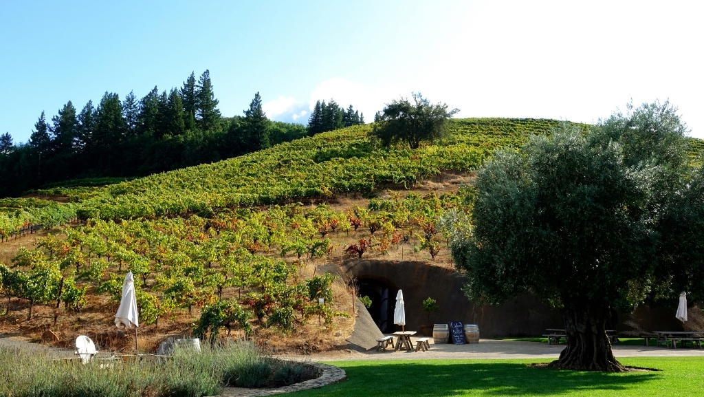 Bella Vineyards and Wine Cave, Healdsburg, United States