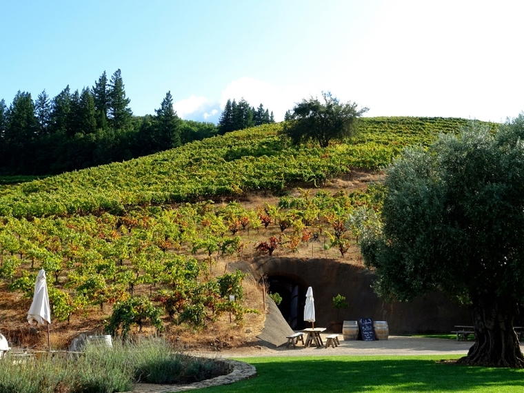 Bella Vineyards and Wine Cave, Healdsburg, United States