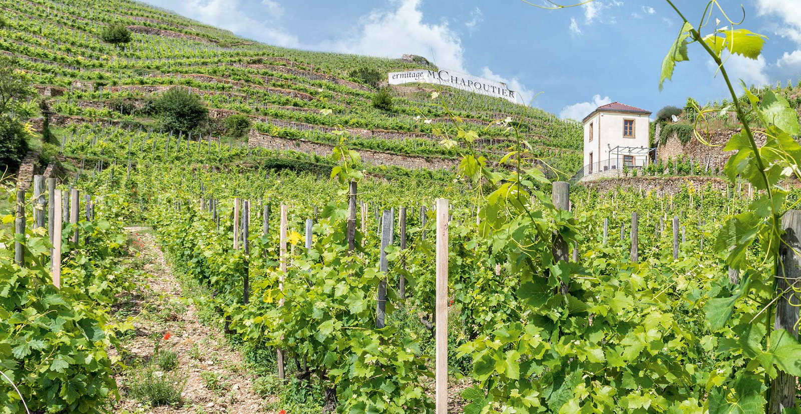 Chapoutier, Tain-l'Hermitage, France