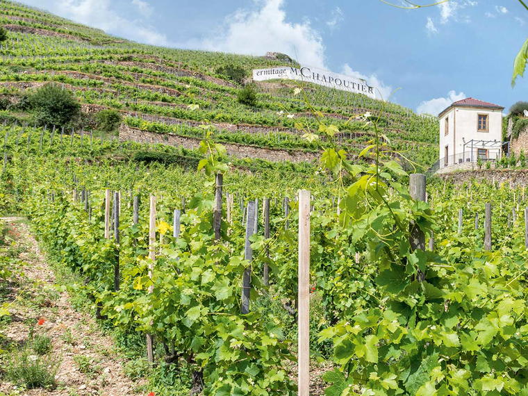 Chapoutier, Tain-l'Hermitage, France