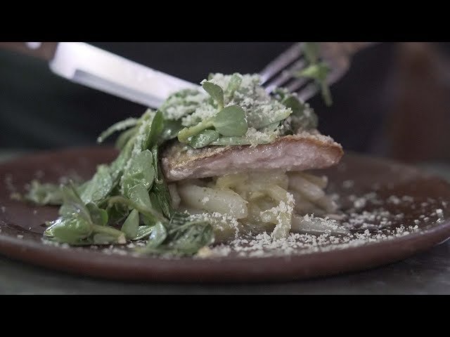 Alfonsina, Restaurant in Oaxaca