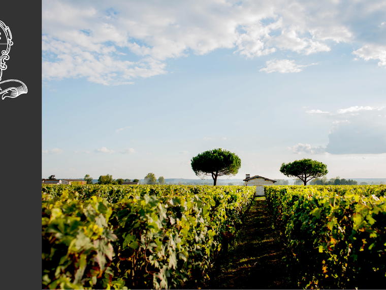Le Dome, Saint-Emilion, France